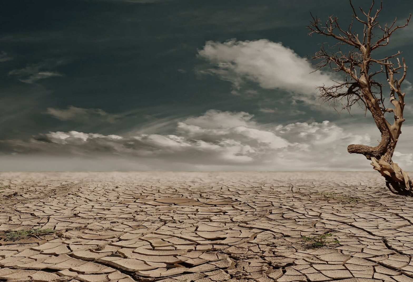 solo seco devido às mudanças climáticas