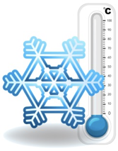 image Max Plus Company